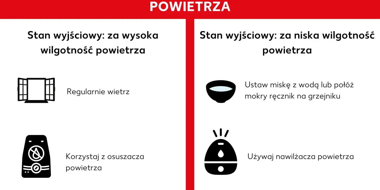 Porady jak regulować jaka wilgotność w domu: wietrz przy za wysokiej, użyj nawilżacza przy za niskiej.