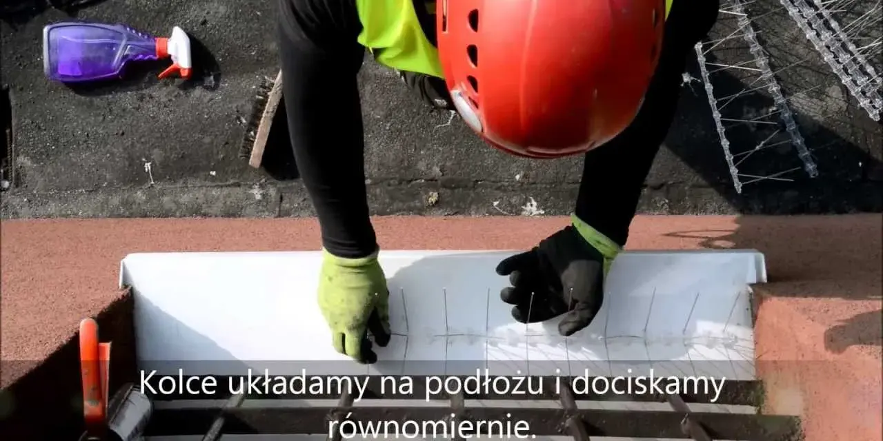 Jak zamontować kolce na ptaki, aby skutecznie zniechęcić ptaki