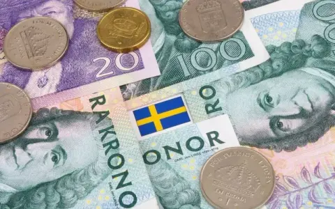 Ile zarabia dekarz w Szwecji? Zaskakujące fakty o wynagrodzeniach