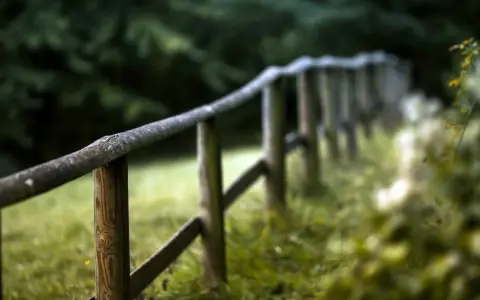 Prosty, drewniany płot w otoczeniu zieleni. Idealny przykład, jak zrobić tanio płot drewniany, który wpasuje się w naturalny krajobraz.