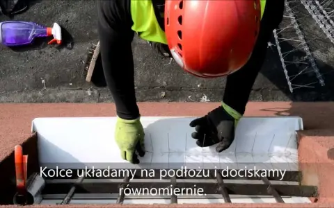 Jak zamontować kolce na ptaki, aby skutecznie zniechęcić ptaki