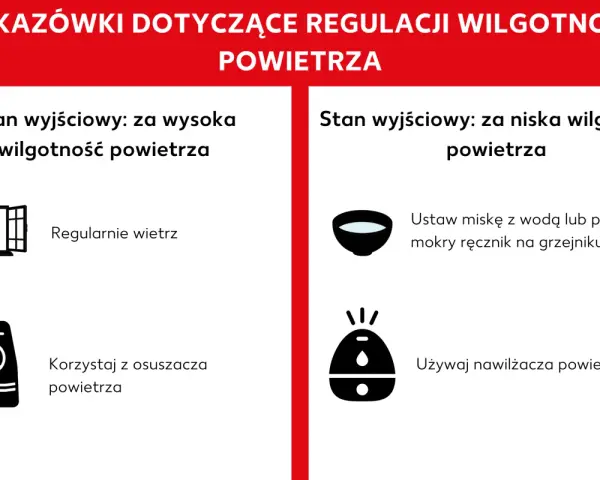 Porady jak regulować jaka wilgotność w domu: wietrz przy za wysokiej, użyj nawilżacza przy za niskiej.