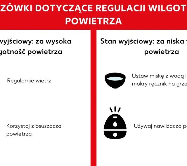 Porady jak regulować jaka wilgotność w domu: wietrz przy za wysokiej, użyj nawilżacza przy za niskiej.