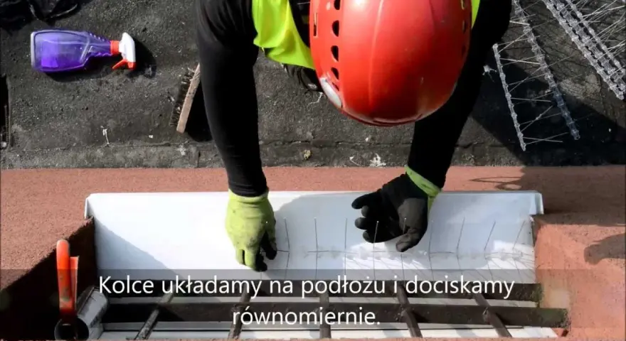 Jak zamontować kolce na ptaki, aby skutecznie zniechęcić ptaki