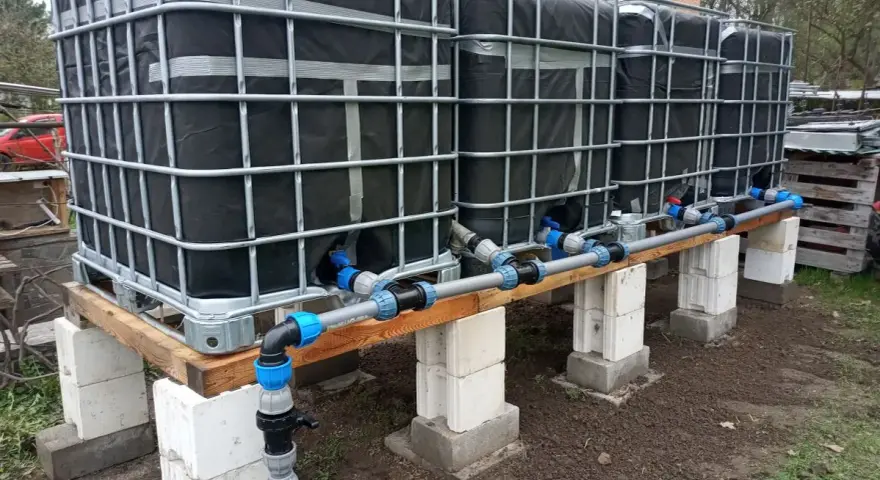 System zbiorników IBC, każdy z czarną osłoną, połączony rurami. Wygląda jak prowizoryczna instalacja do gromadzenia deszczówki, może nawet do nawadniania ogrodu, jak w przypadku systemu mauser.