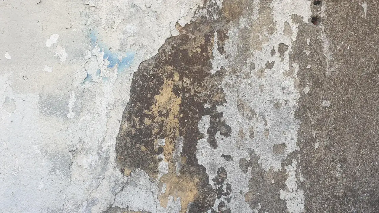 Stara ściana z łuszczącą się farbą, odsłaniająca grunt odcinający i beton.